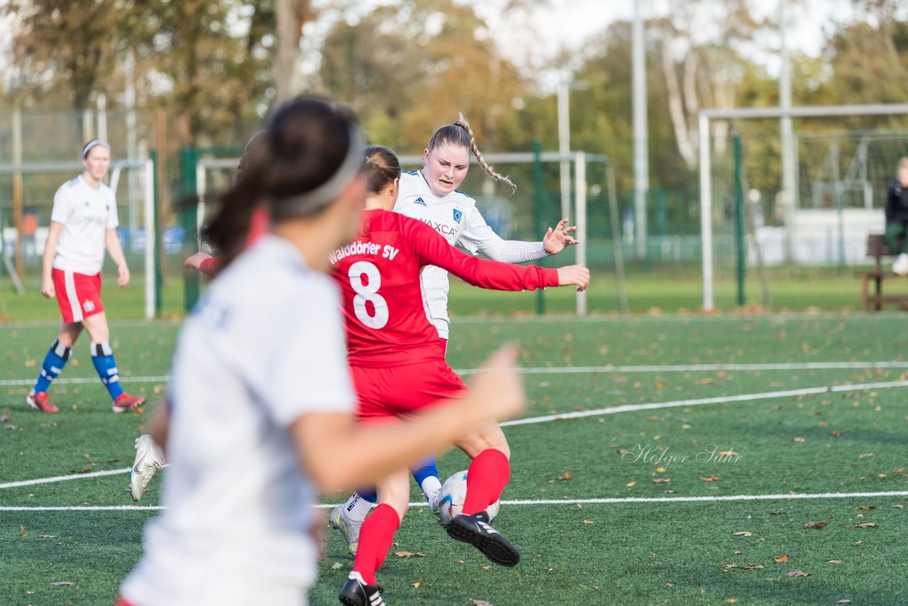 Bild 53 - F Hamburger SV 3 - Walddoerfer SV 2 : Ergebnis: 5:2